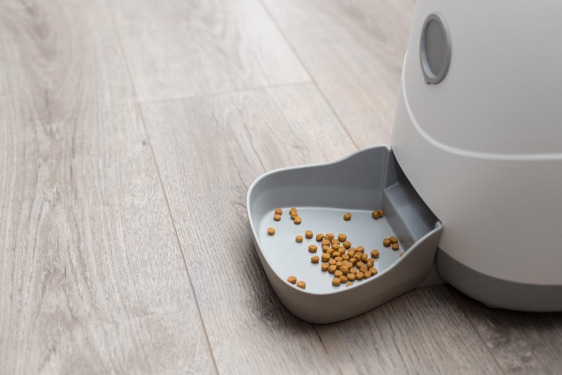 automatic pet food dispenser. smart cat feeder